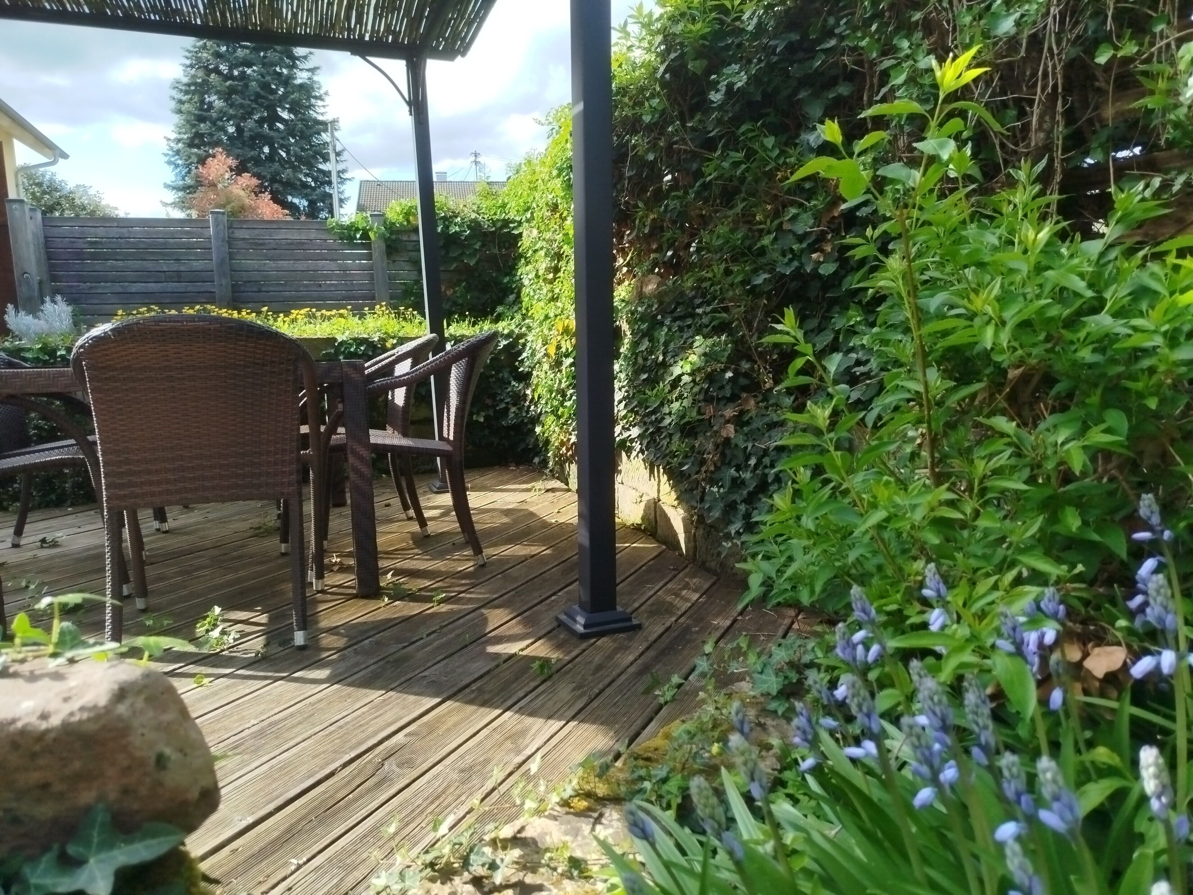 Een houten terras met rieten stoelen, een pergola en weelderige begroeiing.