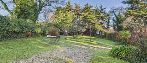 Un sendero de grava que conduce a un banco en un jardín con diferentes árboles y arbustos.