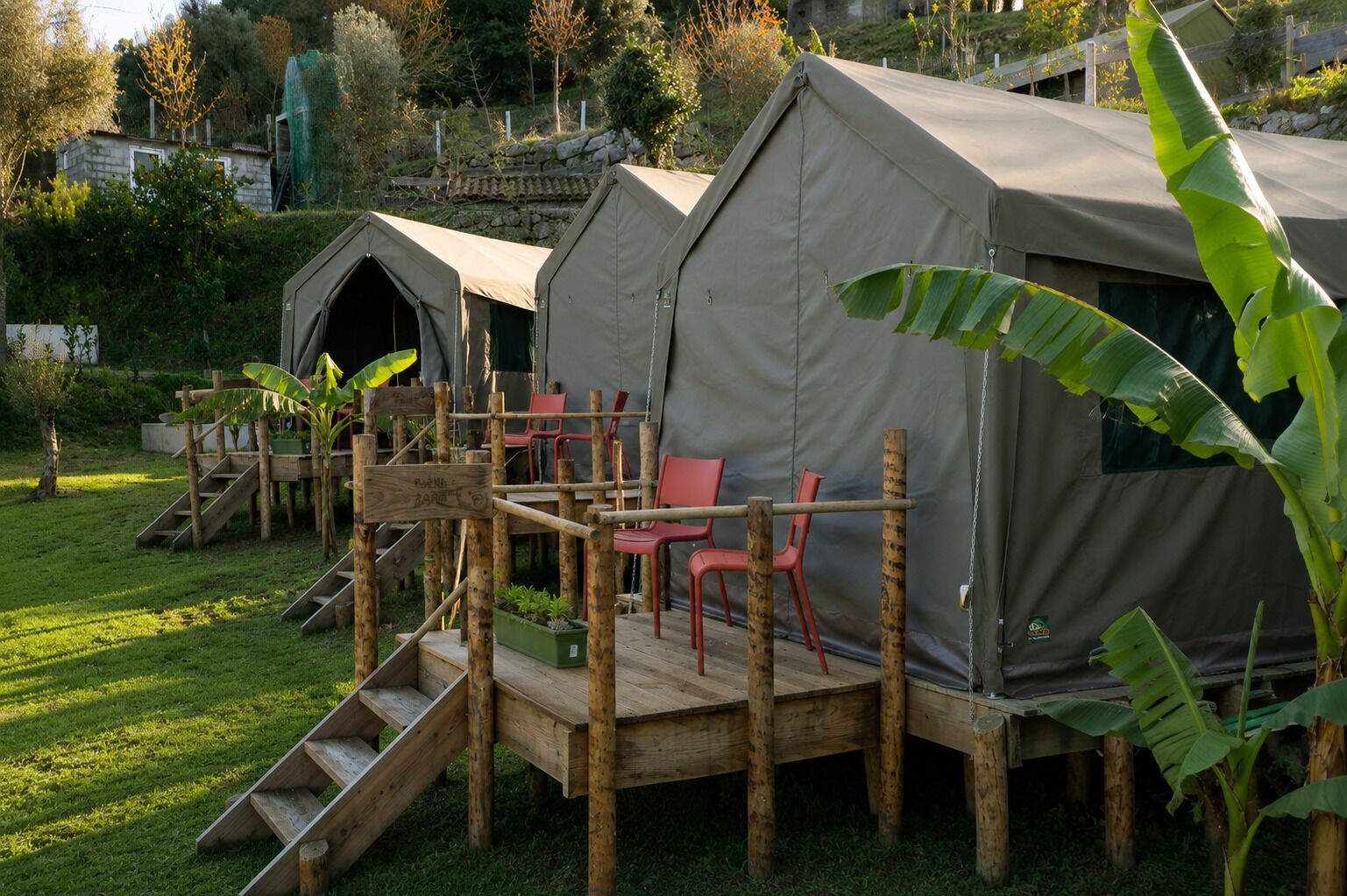 Twee tenten met een houten terras en rode stoelen, omringd door groen.