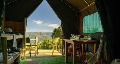 Safari Glamping Portugal Gazelle