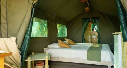 Safari Glamping Portugal Penguin