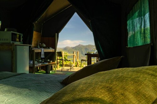 Safari Glamping Portugal Penguin