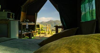 Safari Glamping Portugal Penguin