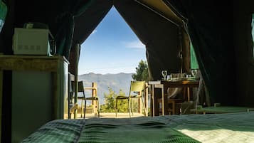 1 slaapkamer, gratis wifi, beddengoed