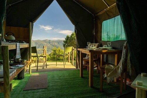 Safari Glamping Portugal Parrot
