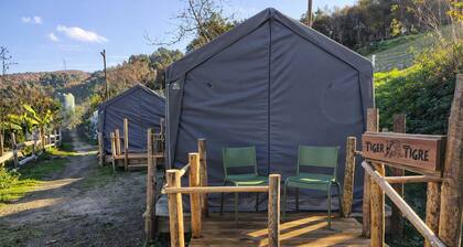 Safari Glamping Portugal Tiger