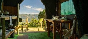 Safari Glamping Portugal Elephant