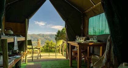 Safari Glamping Portugal Elephant