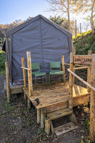 Safari Glamping Portugal Lion
