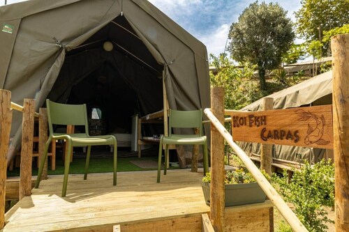 Safari Glamping Portugal Rhino