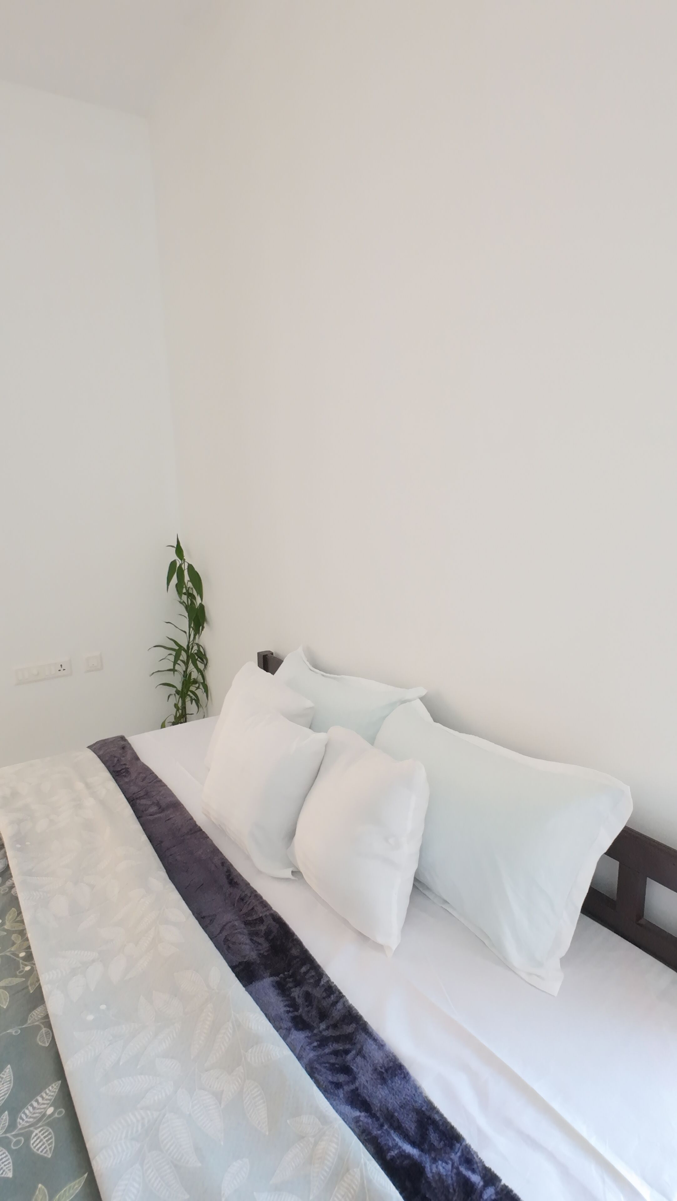 A neatly made bed with white and light blue pillows, a dark blue and white patterned bedspread, and a green plant beside the bed.