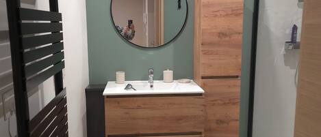 Regadera, secadora de cabello, toallas, papel de baño