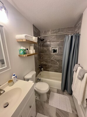 Hair dryer, towels, soap, shampoo - 3-bedroom, 2-bath house in lovely North Pole for your getaway (North Pole)