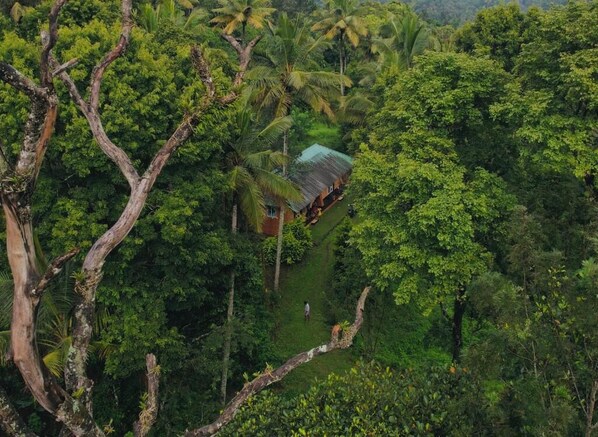 Cảnh từ trên cao