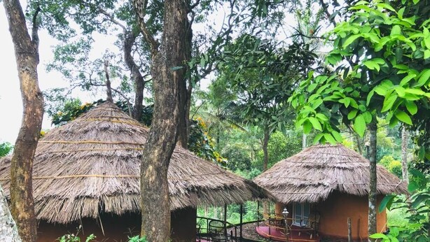 Two thatched-roof huts surrounded by lush greenery. - Punarjani Ayurvedic Resorts (Udumbanchola)