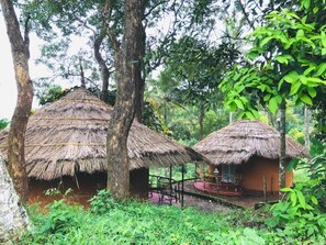 Ngoại thất