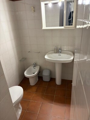 Hair dryer, bidet, towels, soap - ANCIENT LODGING MOLENDA (Città di Castello)