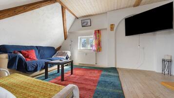 Fernseher
