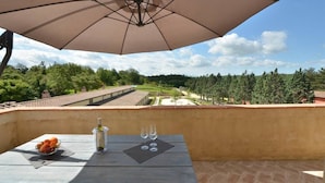 Ein Balkon mit Tisch, Sonnenschirm und Blick auf einen Weinberg.