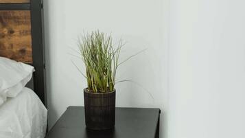 Iron/ironing board, WiFi, bed sheets