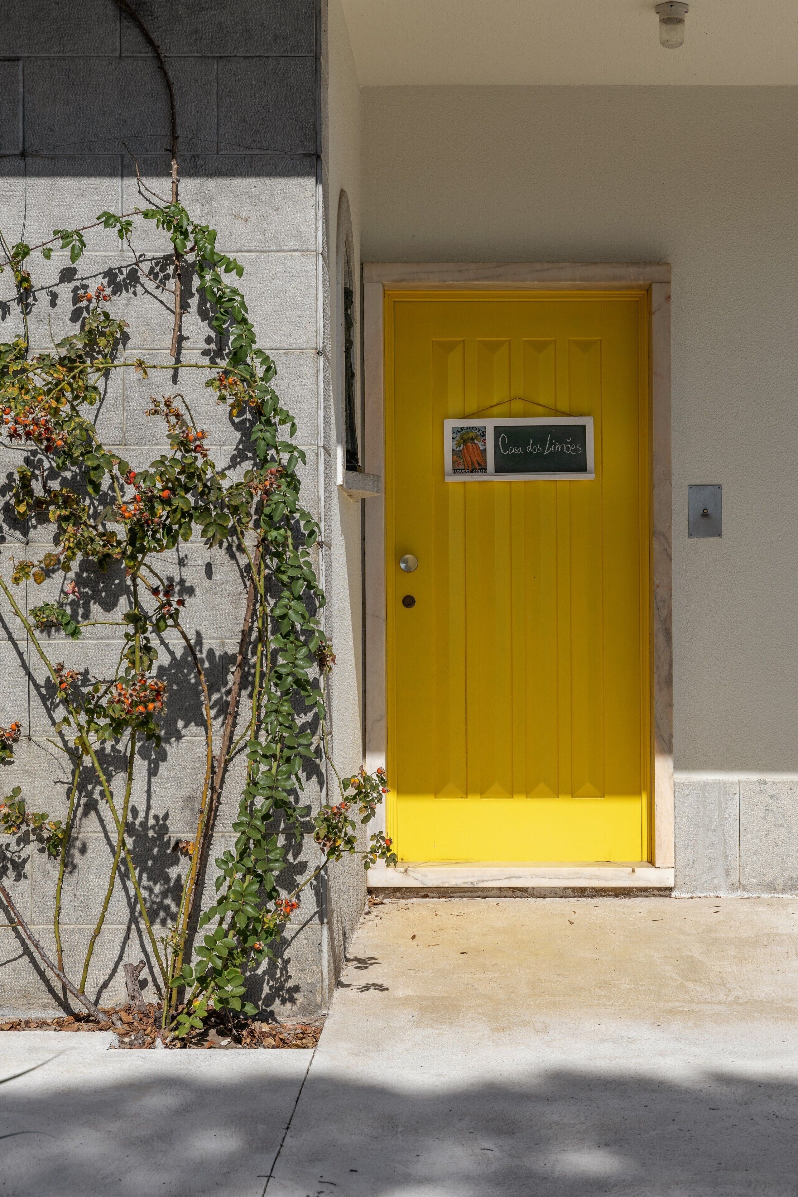 A yellow door with a sign reading 'Casa dos Limões' and a plant growing beside it.