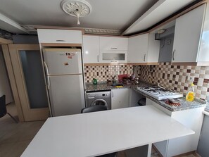 Classic Apartment, Balcony | Private kitchen