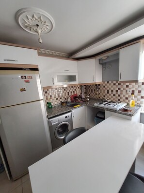 Classic Apartment, Balcony | Private kitchen