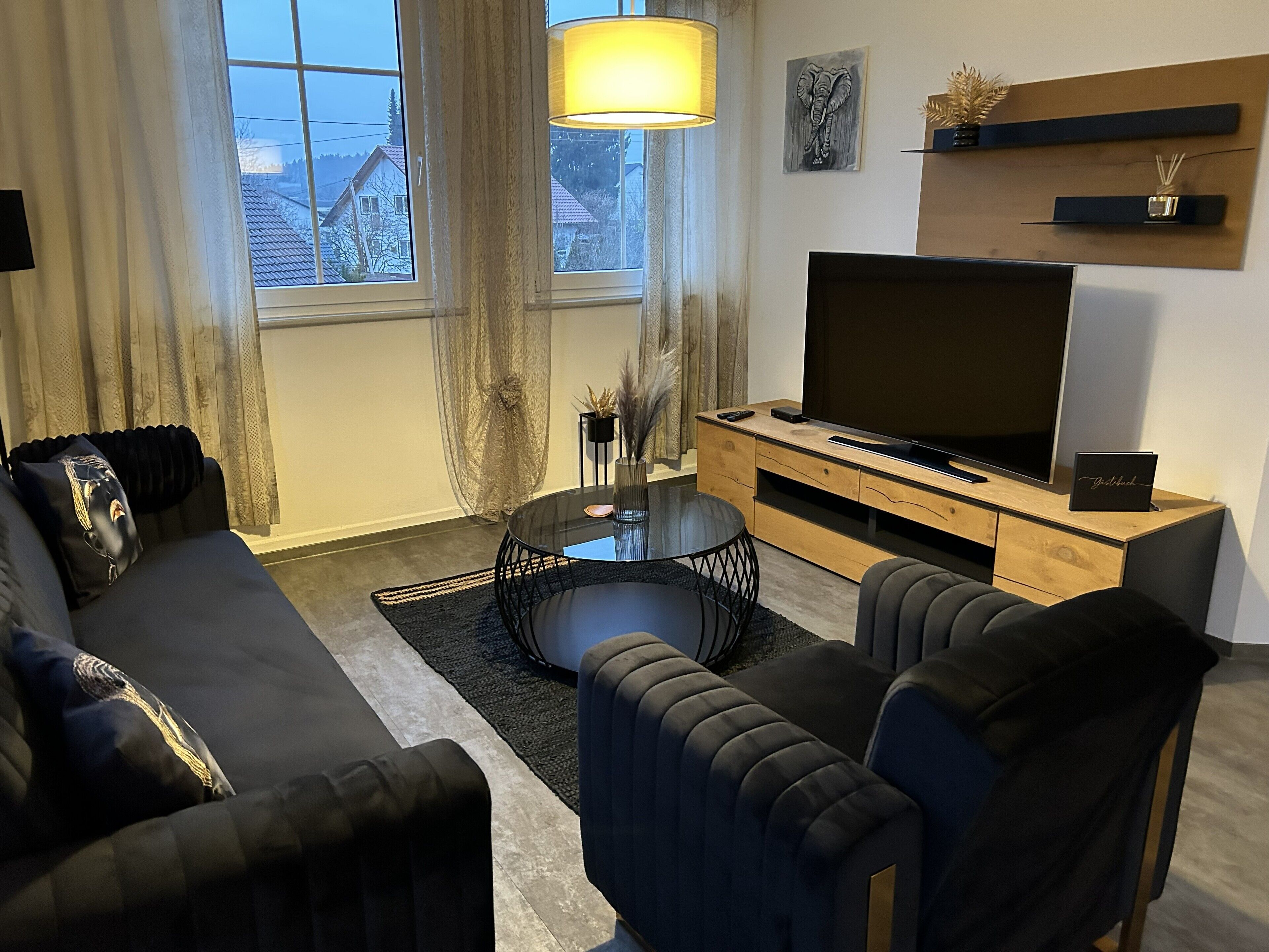 TV, fireplace, books