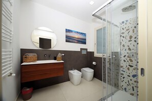 Shower, hair dryer, bidet, towels