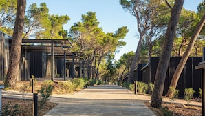 A pathway leading to a building with a modern design, surrounded by trees and a brick-paved area. - Pinadria Camping Resort (Baška Voda)