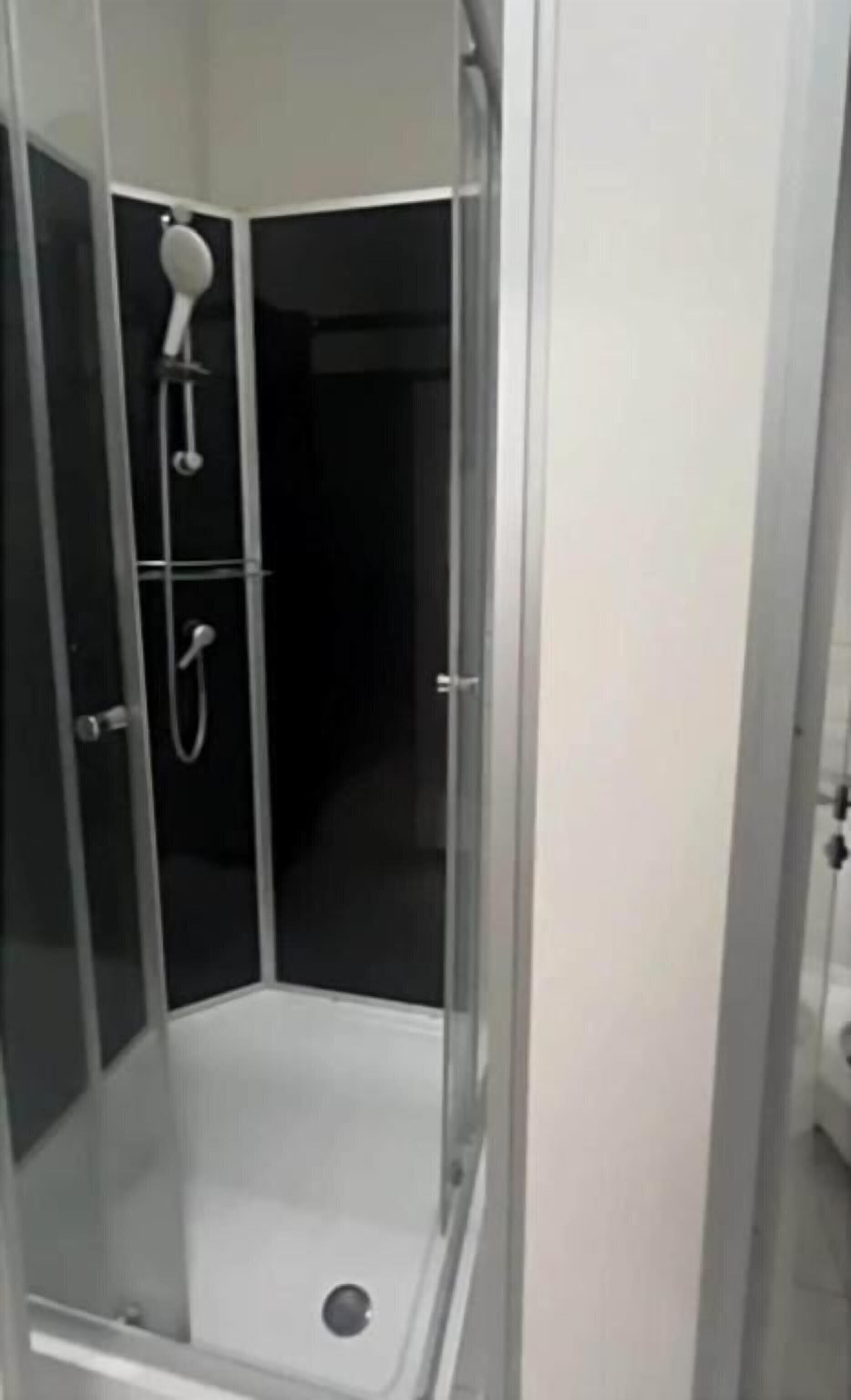 Un espace douche moderne et fermé, doté d’une porte en verre et d’un pommeau de douche à main.