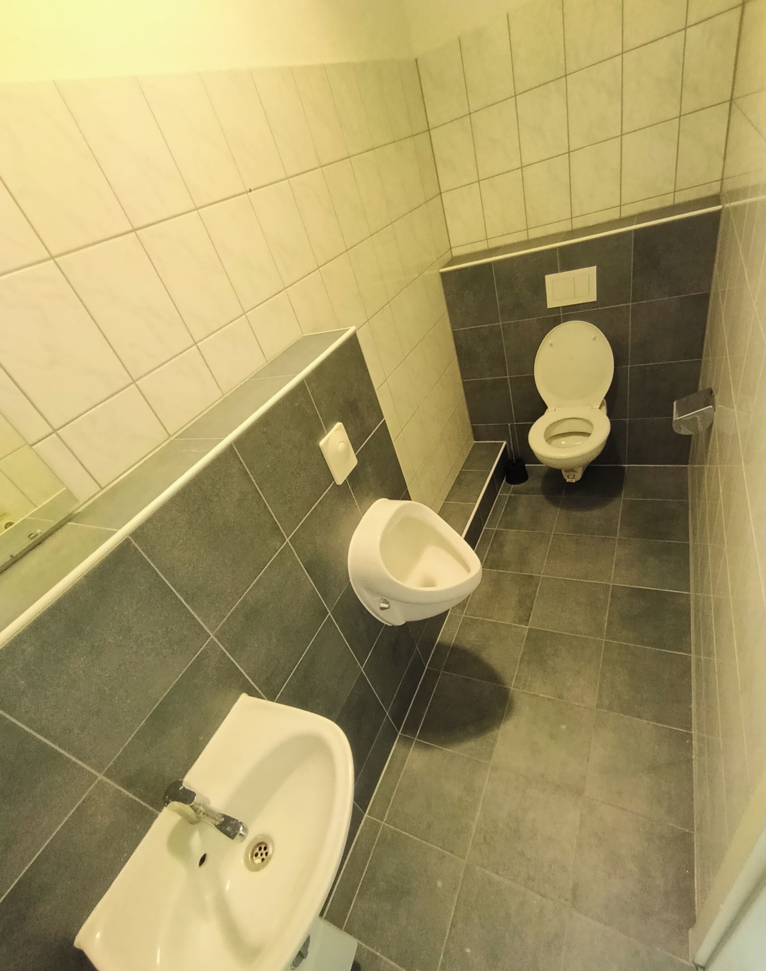 Ein Badezimmer mit Toilette, Urinal und Waschbecken.
