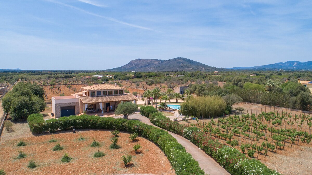 Imagen de perfil del propietario o de la propietaria