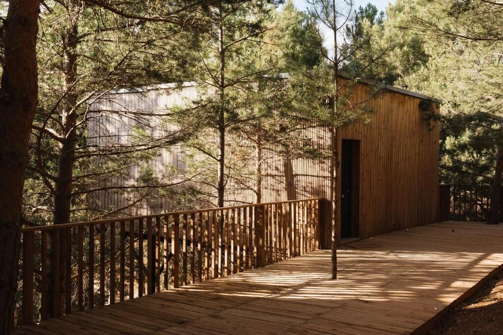 Une terrasse en bois, dotée d’une rambarde et entourée d’arbres, mène à un petit bâtiment avec une porte.
