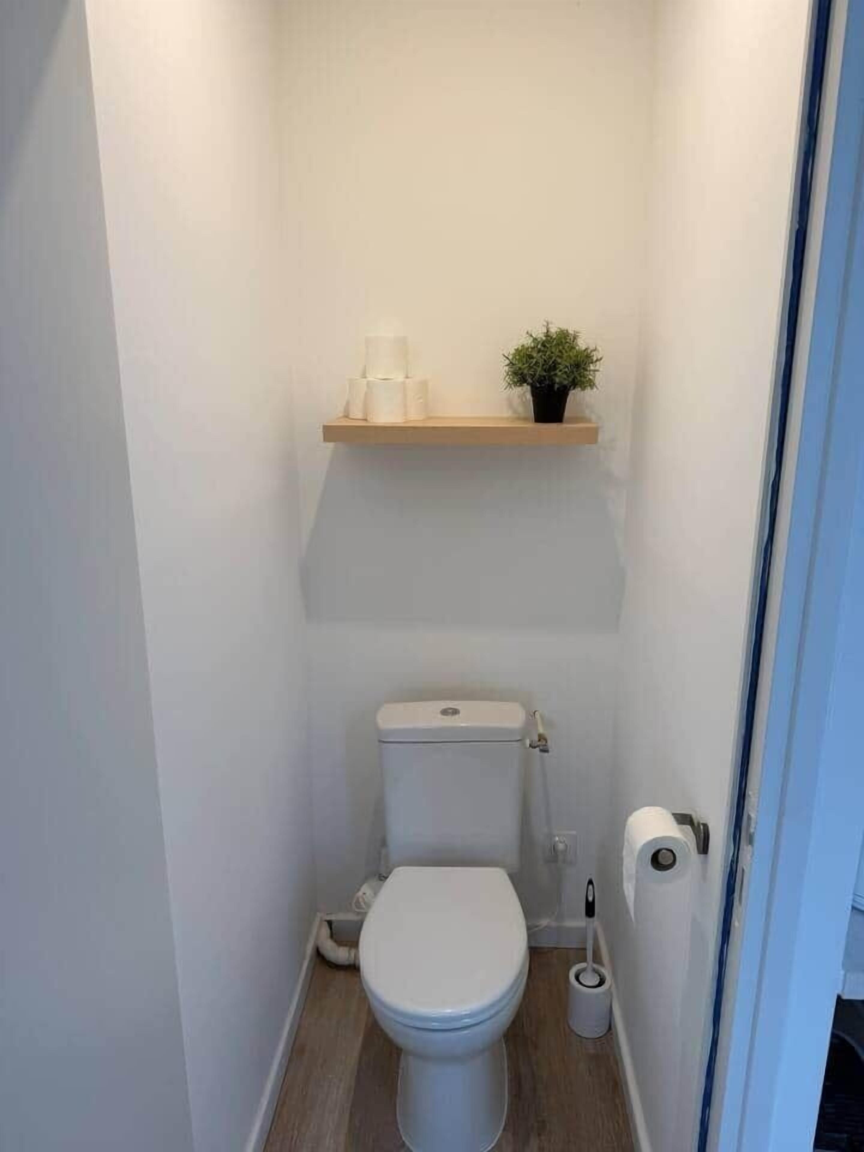 Une petite salle de bain moderne avec des toilettes blanches, une étagère au-dessus des toilettes où sont posés un pot de fleurs et un rouleau de papier toilette, et un autre rouleau de papier toilette sur le sol.