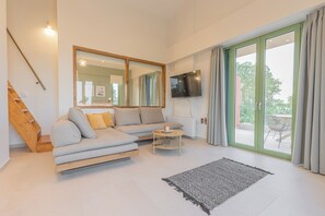 Smart-TV, Kamin