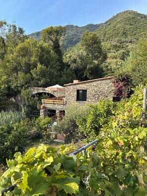Villa, 2 Bedrooms, Terrace, Sea View | Property grounds - Villa Olive Mill Terra Rossa (Corniglia)
