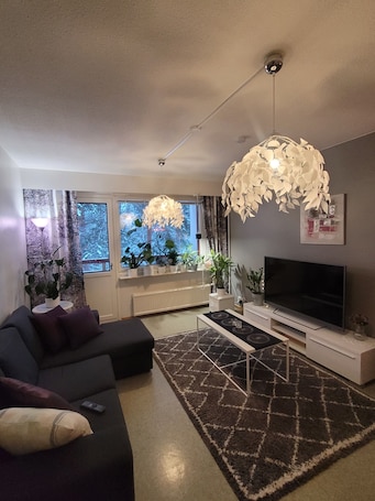 Living area. Cozy Apartment near Santa Claus Village