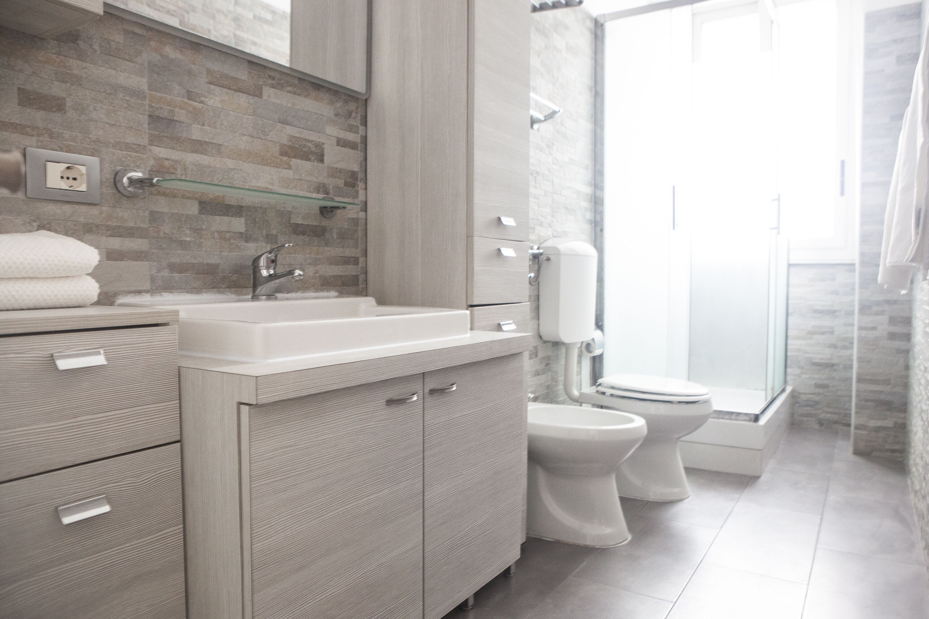 Shower, hair dryer, bidet, towels