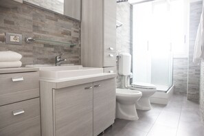 Shower, hair dryer, bidet, towels