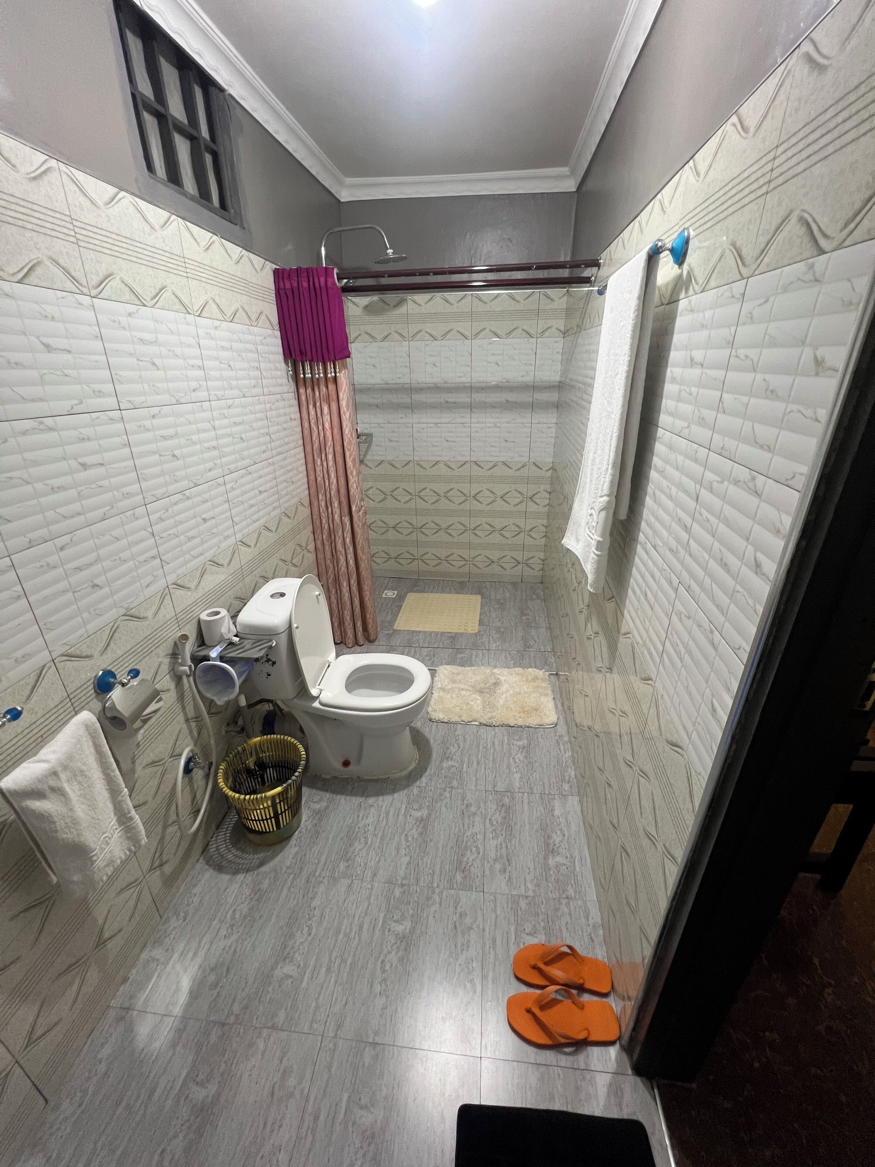 A bathroom with a toilet, bidet, and shower area.