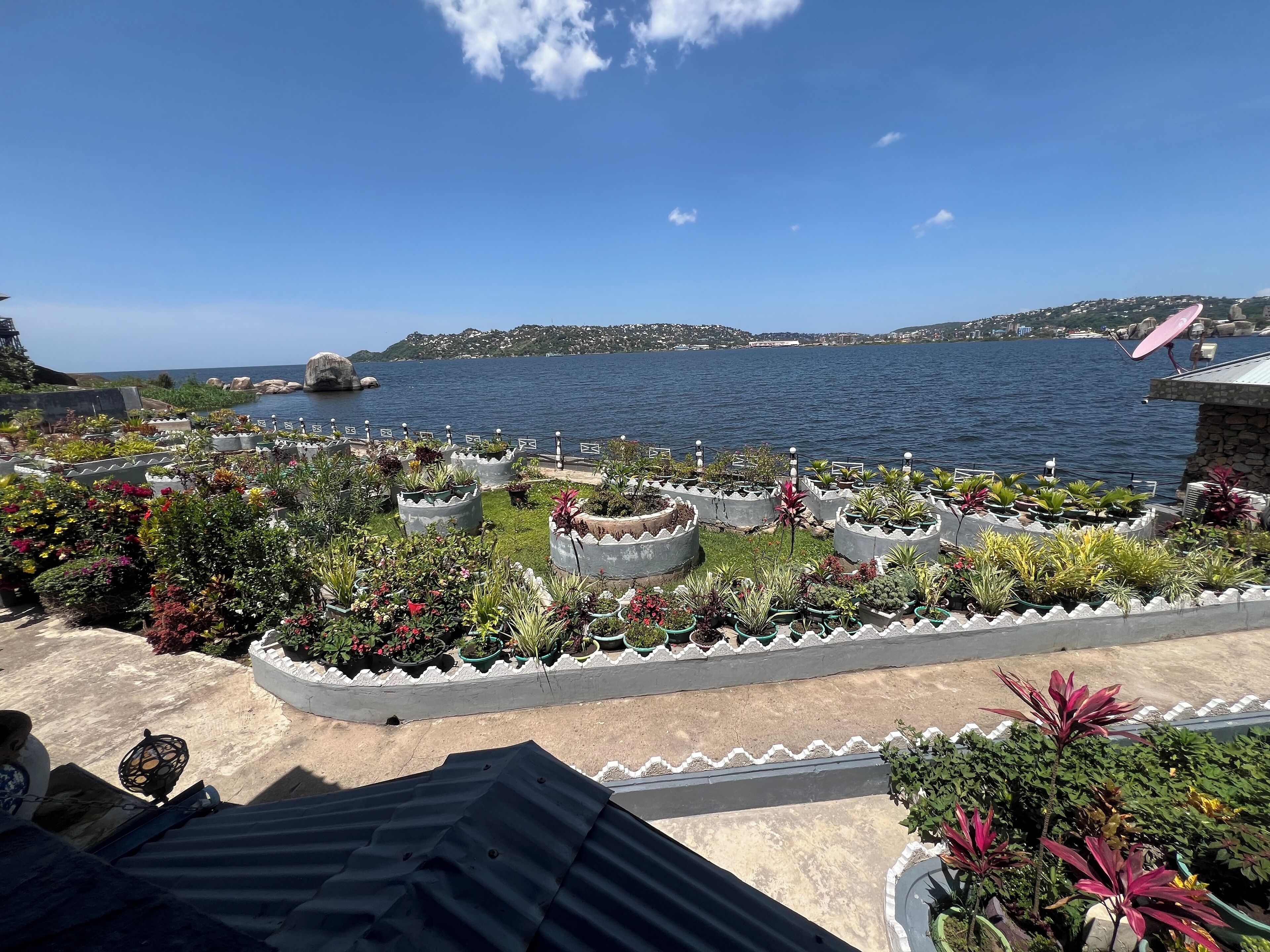 Un jardin en bord de mer, agrémenté de plantes en pot et offrant une vue sur la mer.