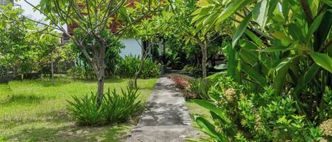 Classic Villa, 2 Bedrooms | View from room