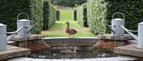 Overnattingsstedets uteområder