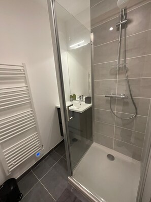 Dusche, Haartrockner, Seife, Toilettenpapier
