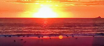 Bungalow in Strandnähe