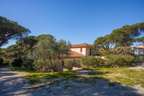 Ein Haus mit Ziegeldach, umgeben von Bäumen und Sträuchern.