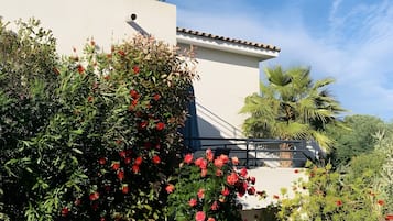 Overnatningsstedets område