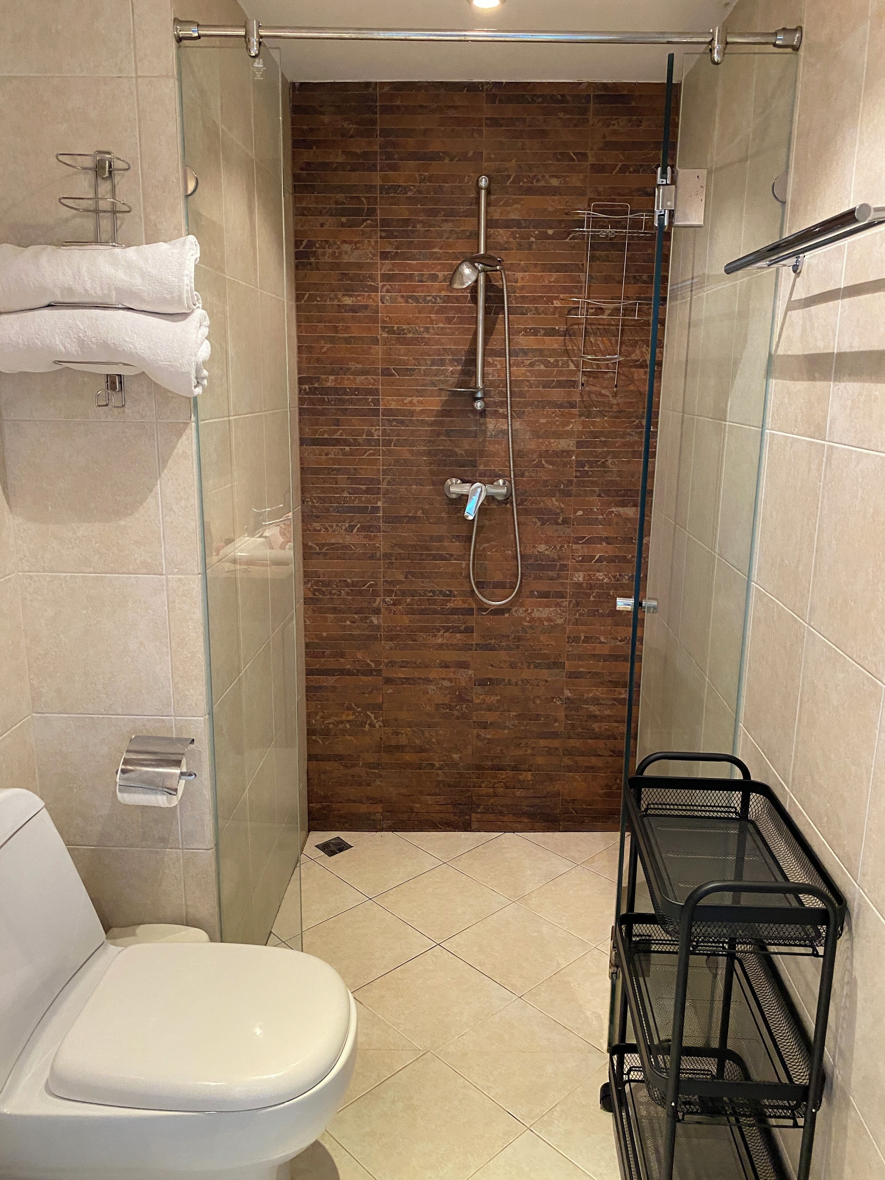 Dusche, Haartrockner, Handtücher
