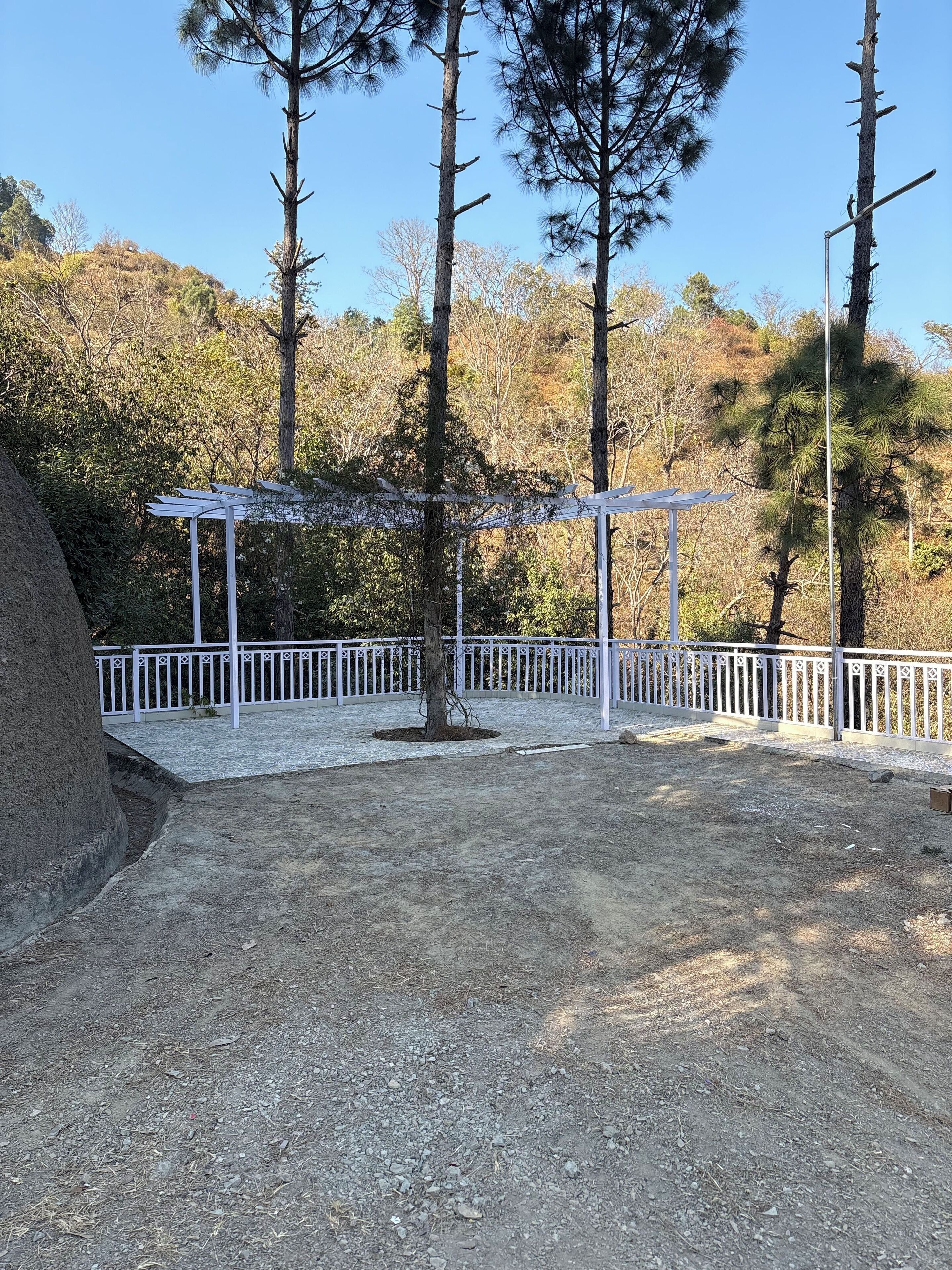 A fenced outdoor area with a pergola structure, surrounded by trees and a gravel path.